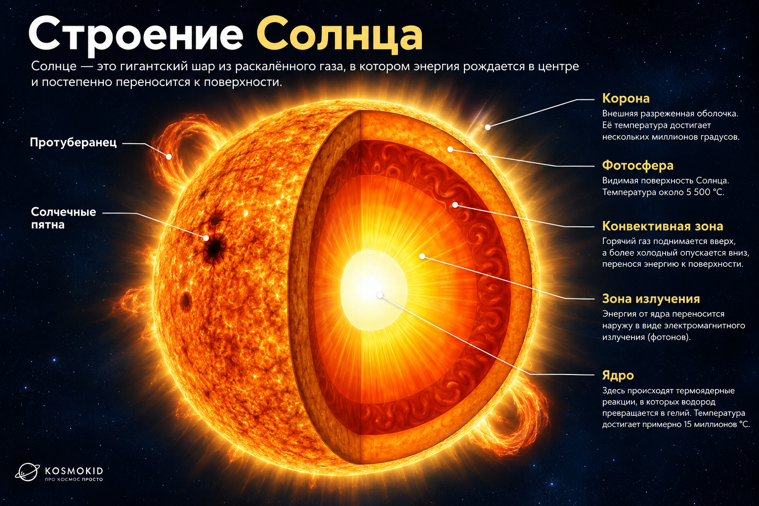 Как устроено Солнце — детская инфографика