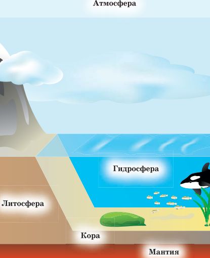 Биосфера