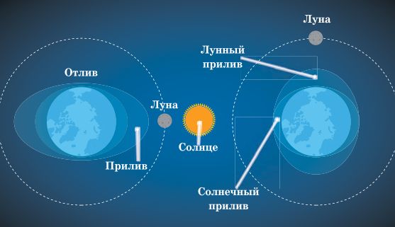 Воздействие гравитационных сил Луны